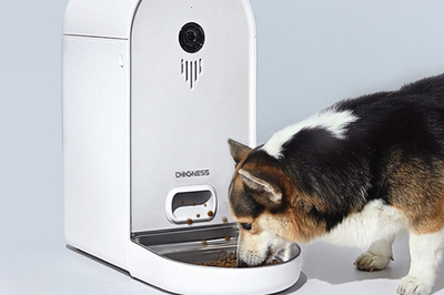 升级宠物生活用品 五大优势，让爱宠更健康、更快乐